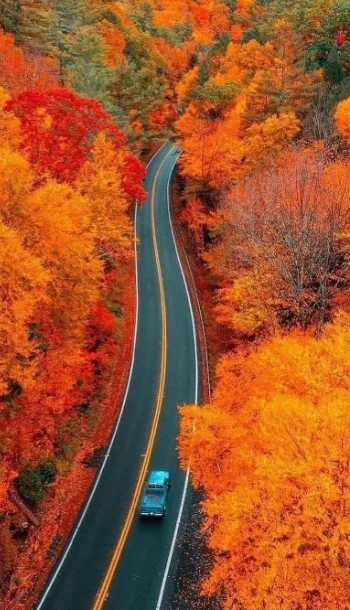 't Is weer herfst…
